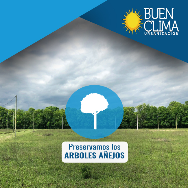 Buen Clima - Urbanización